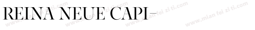 Reina Neue Capi字体转换